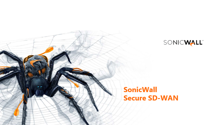 SD-WAN SonicWall